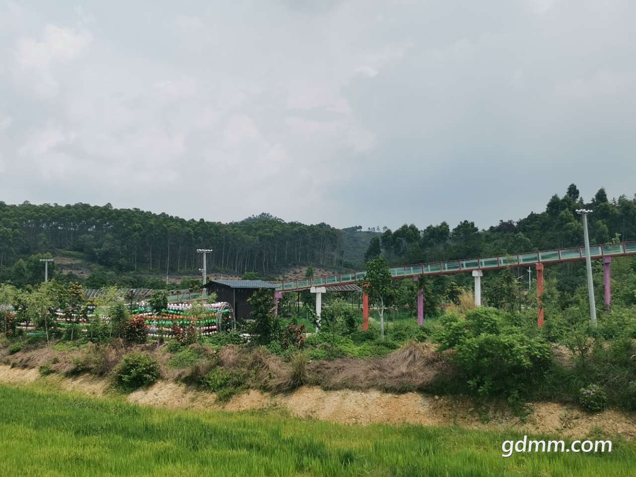 六一兒童節帶小朋友來廉江田園寨遛一遛